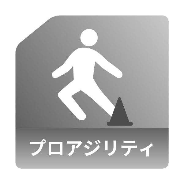 Pro Agility